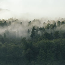 Image by Tobias Tullius